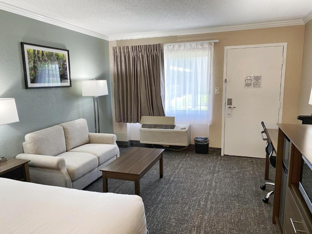 Deluxe Single Room interior